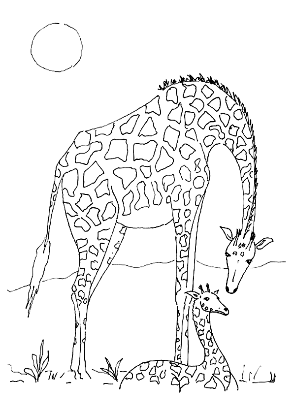 dessin girafe assise