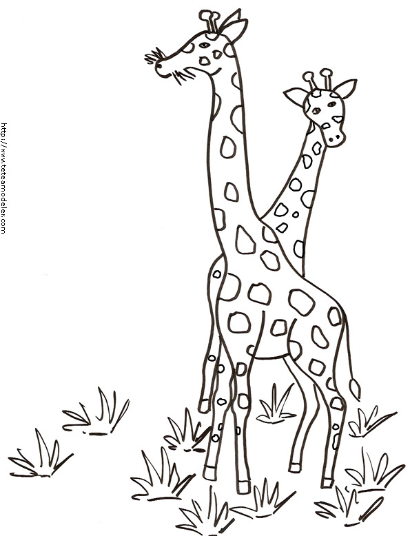 modele dessin à colorier girafe