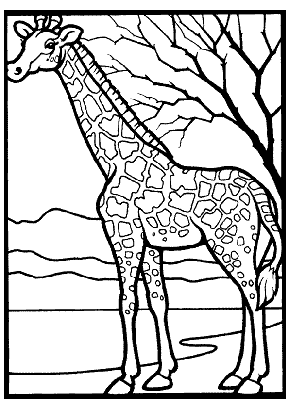 dessin girafe en ligne