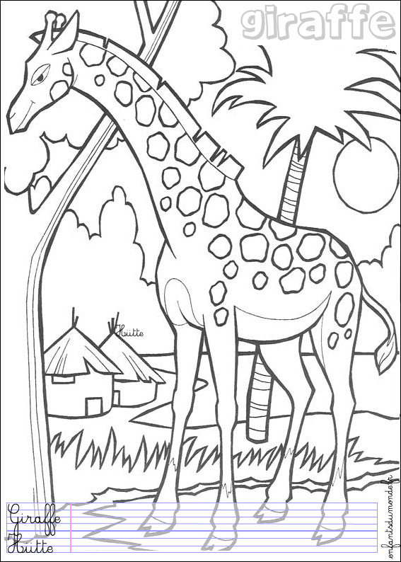 coloriage girafe et girafon