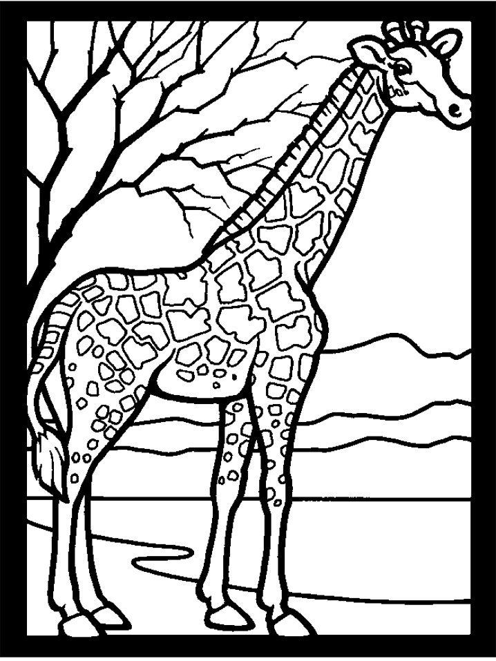coloriage girafe simple