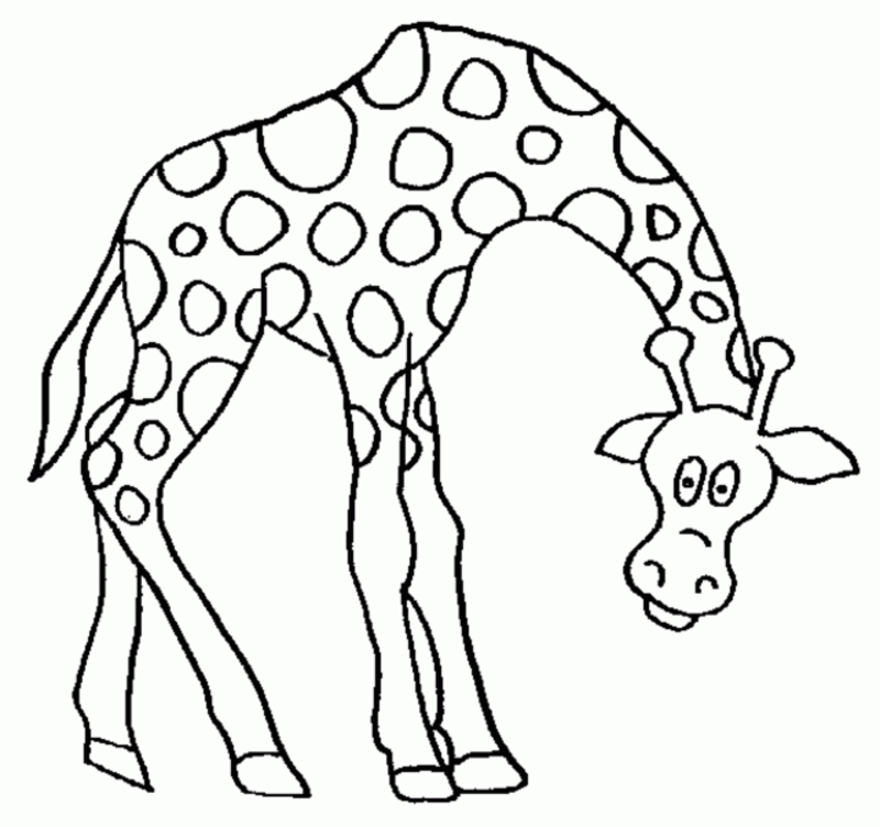 Coloriage Girafe à colorier - Dessin à imprimer coloriage à dessiner sophie la girafe