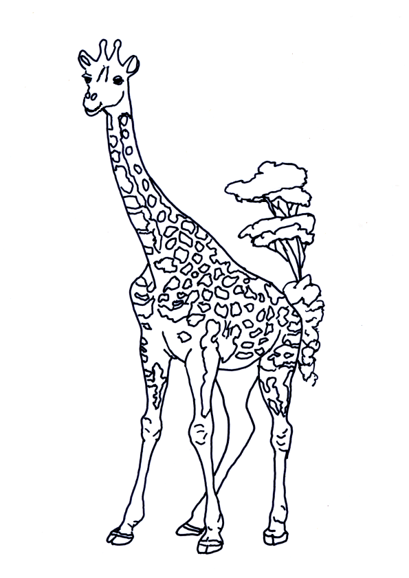 dessin à colorier la girafe