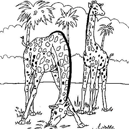 dessin girafe  imprimer gratuit