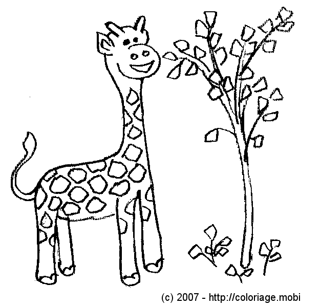 Jeux De Dessin Girafe