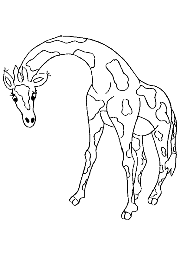 coloriage camille la girafe