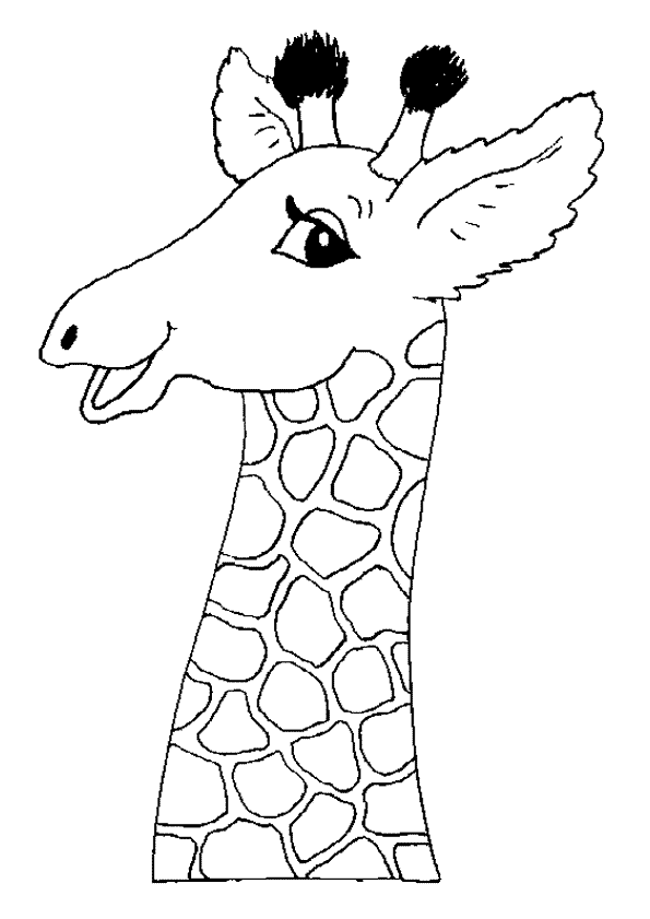 coloriage girafe zarafa