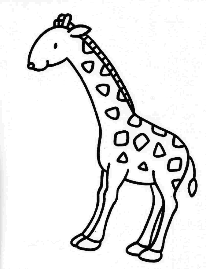 coloriage à dessiner girafe