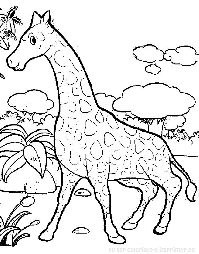 coloriage à dessiner girafe gratuit imprimer