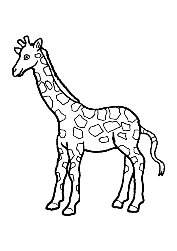 dessin à colorier tete de girafe