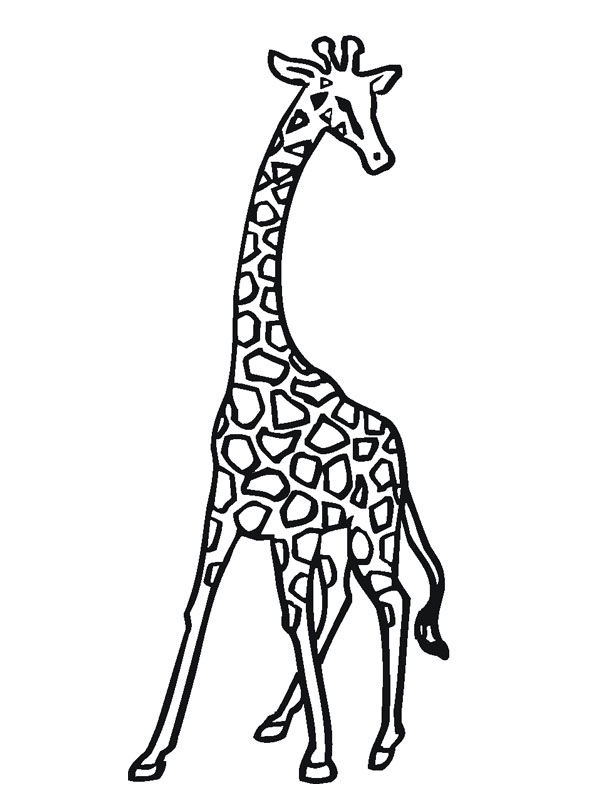 dessin à colorier de bébé girafe