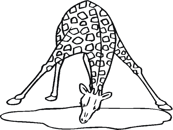 dessin à colorier girafe à imprimer gratuit