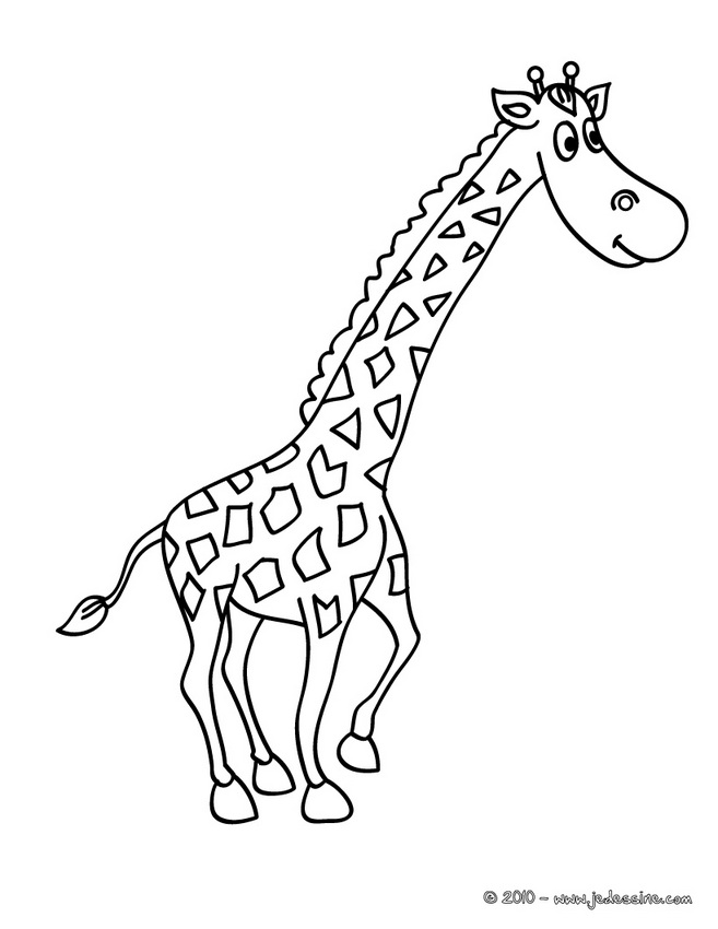 dessin girafe dessin à colorier