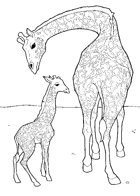 dessin à colorier girafe à imprimer