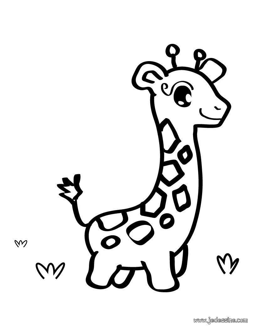 coloriage   dessiner girafes imprimer