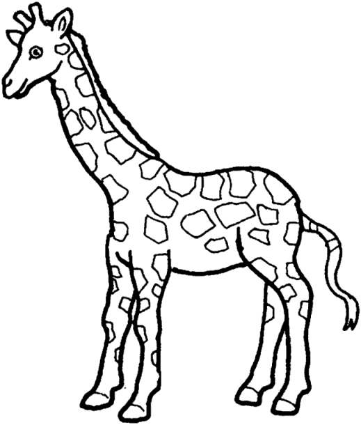 dessin à colorier girafe gratuit