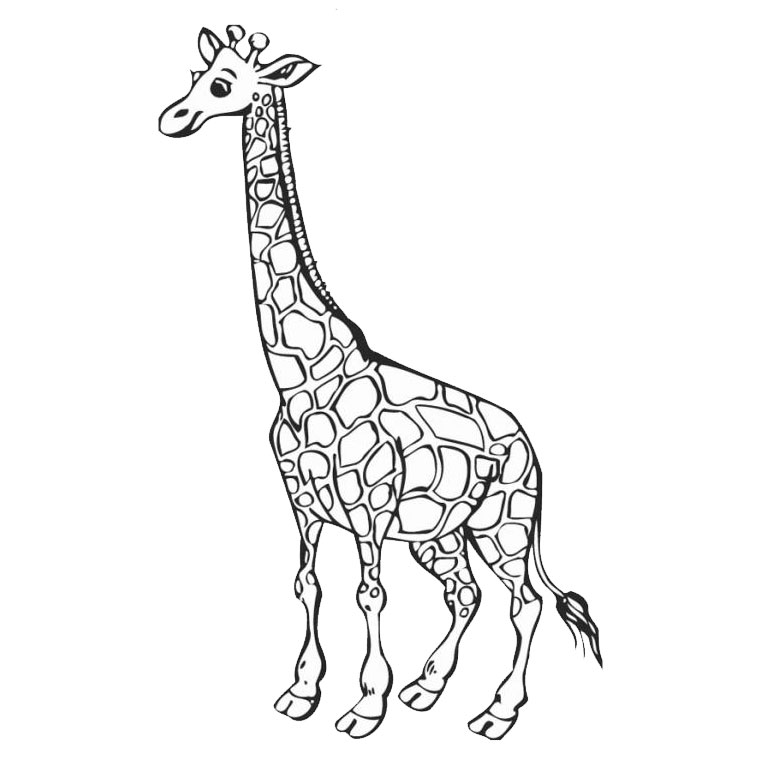 dessin girafe imprimer gratuit