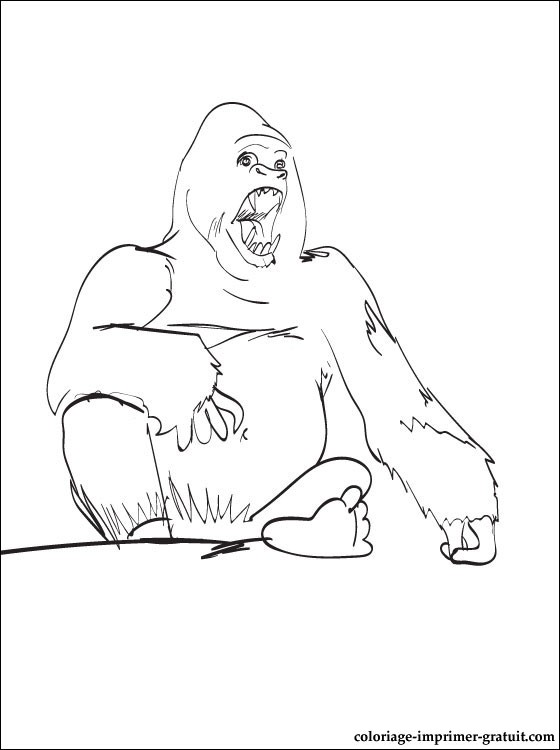 dessin d'un gorille