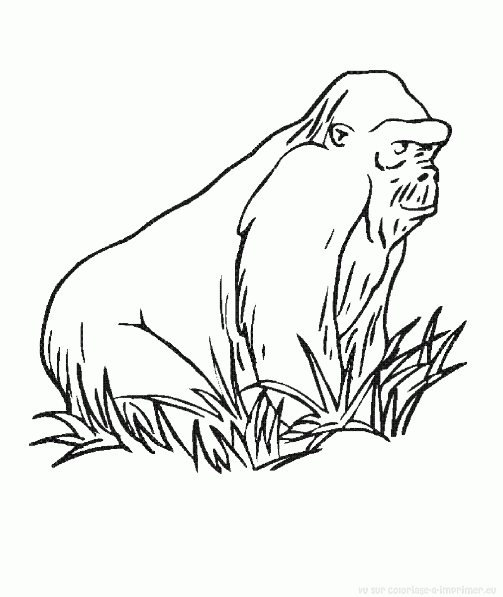 dessin à colorier de gorille en ligne