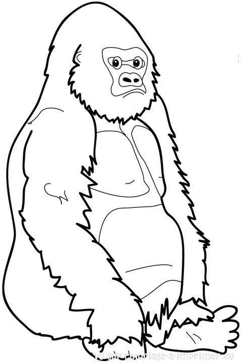 coloriage à dessiner gorille gratuit