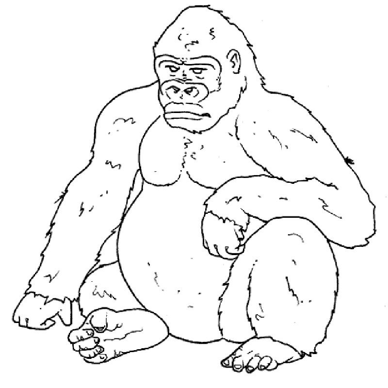 coloriage gorille a imprimer gratuit