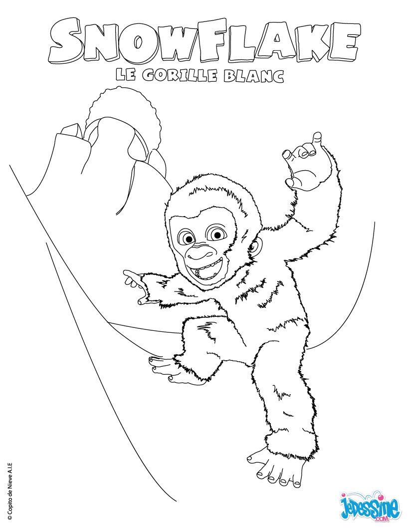 coloriage gorille gratuit