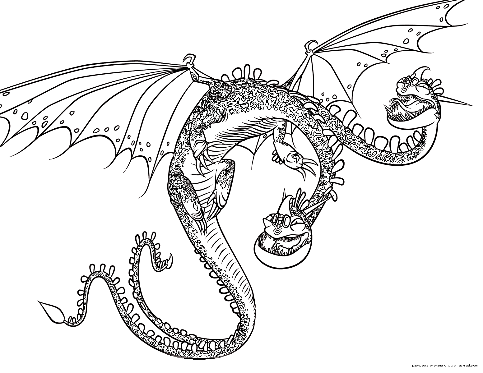 Voir le dessin