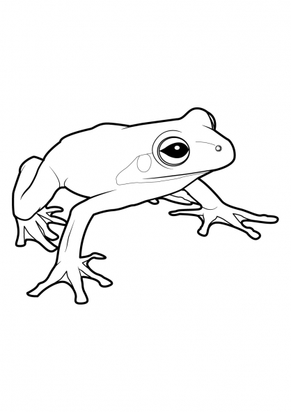 coloriage grenouille