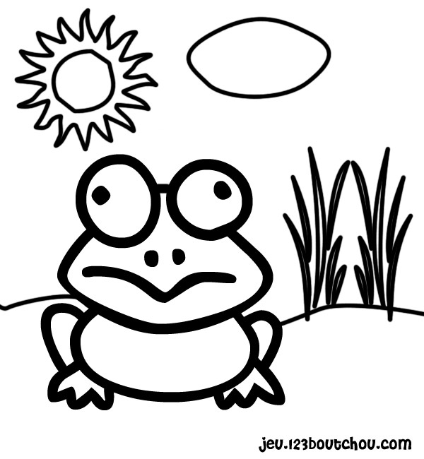 coloriage grenouille verte