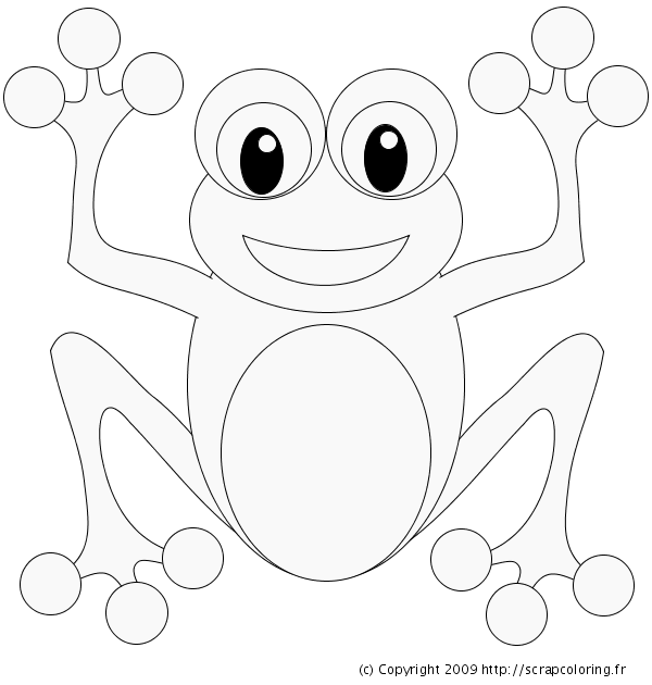 dessin grenouille maternelle