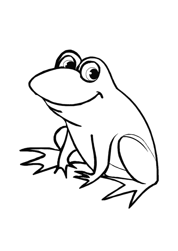 dessin pet shop grenouille