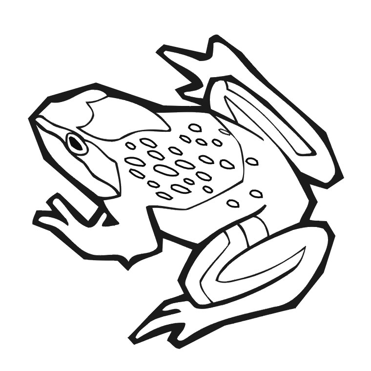 coloriage à dessiner grenouille parapluie