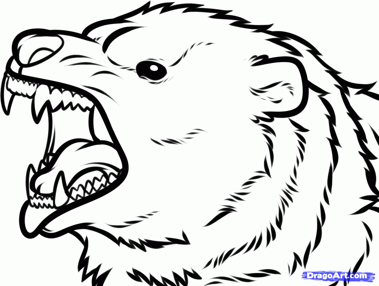 coloriage grizzly imprimer