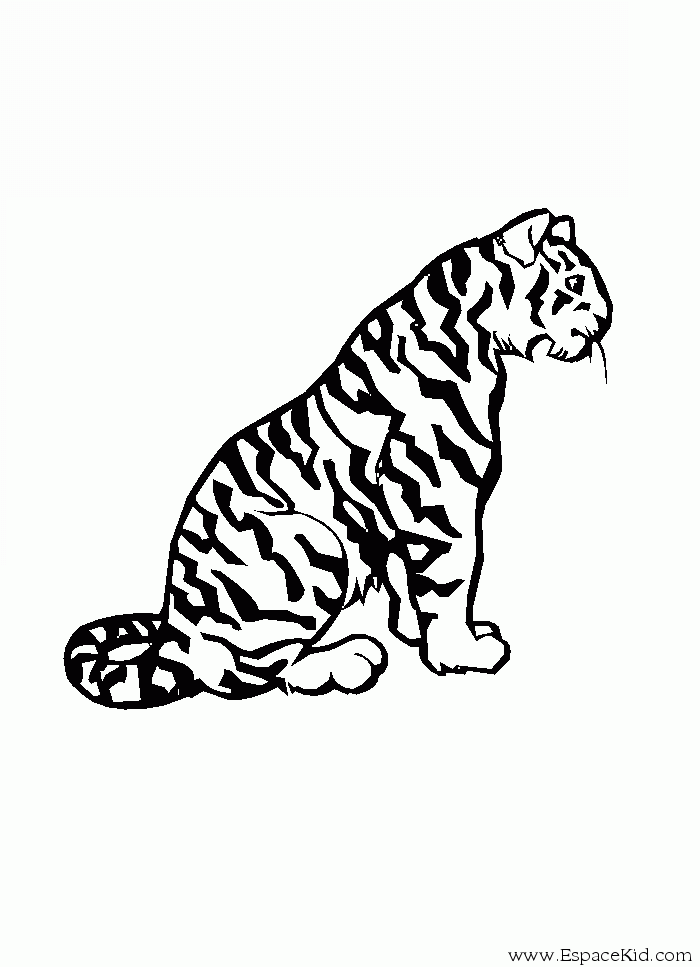 dessin guépard imprimer