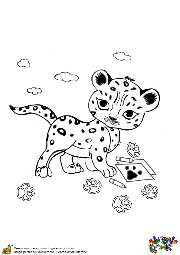 dessin bebe guepard