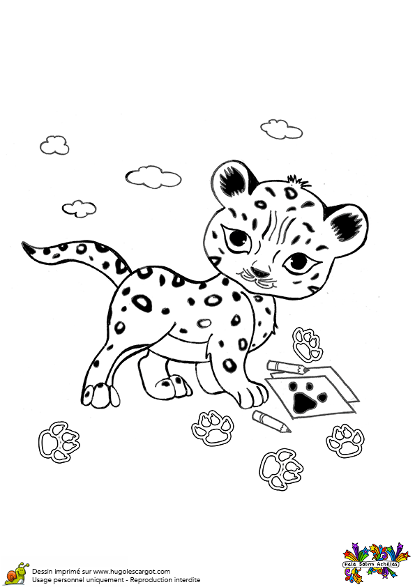 Dessin Bebe Guepard Dessin Bebe Guepard