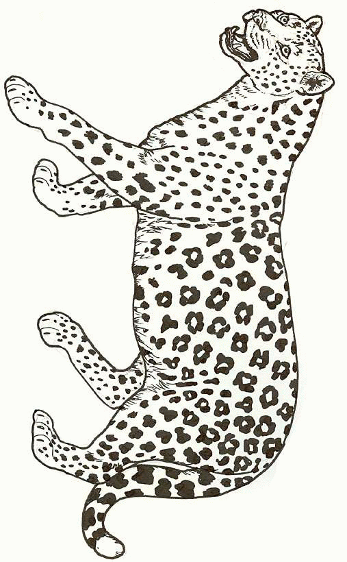 dessin à colorier guépard maternelle