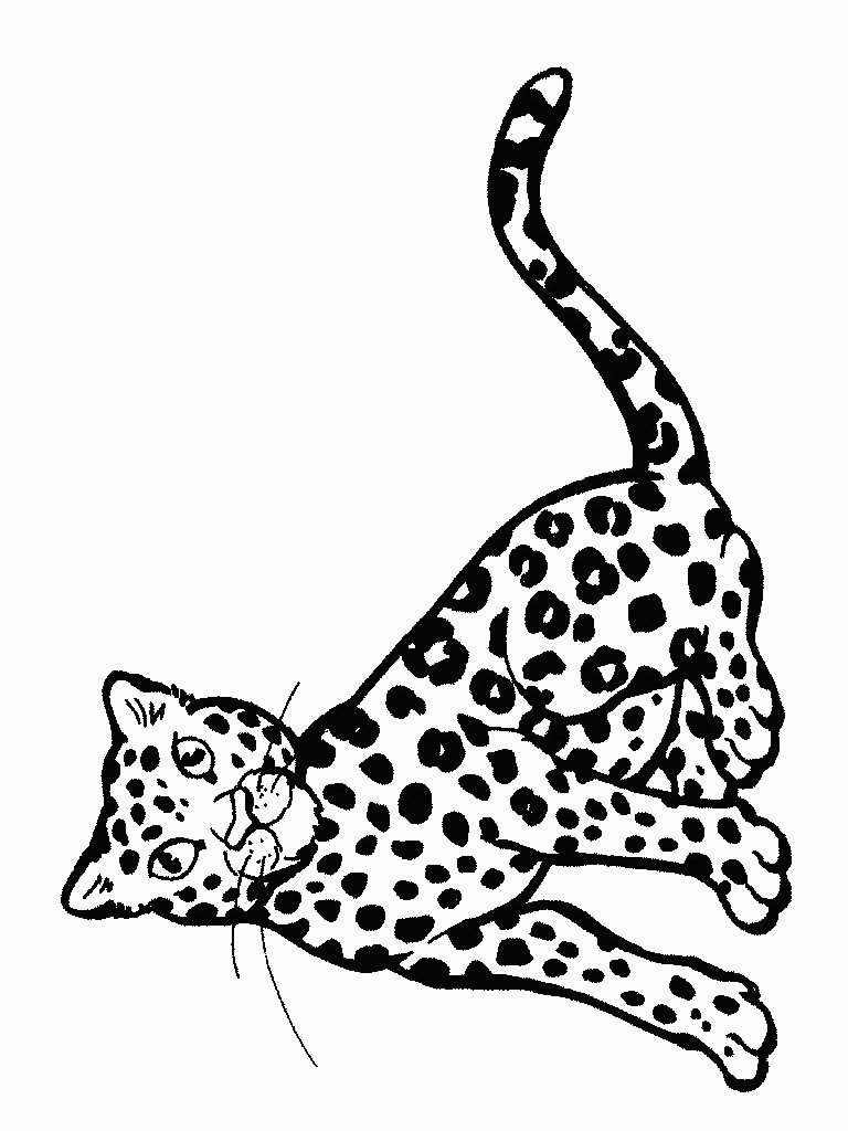 dessin guepard a imprimer gratuit