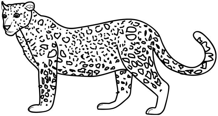 dessin à colorier guepard gratuit