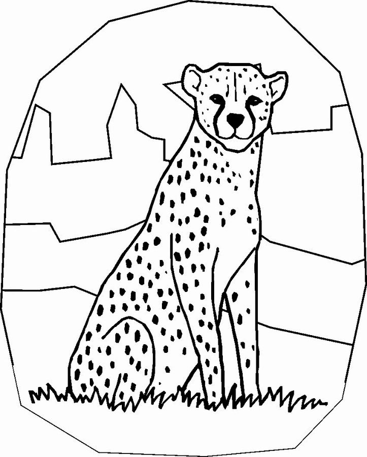 coloriage à dessiner guépard imprimer