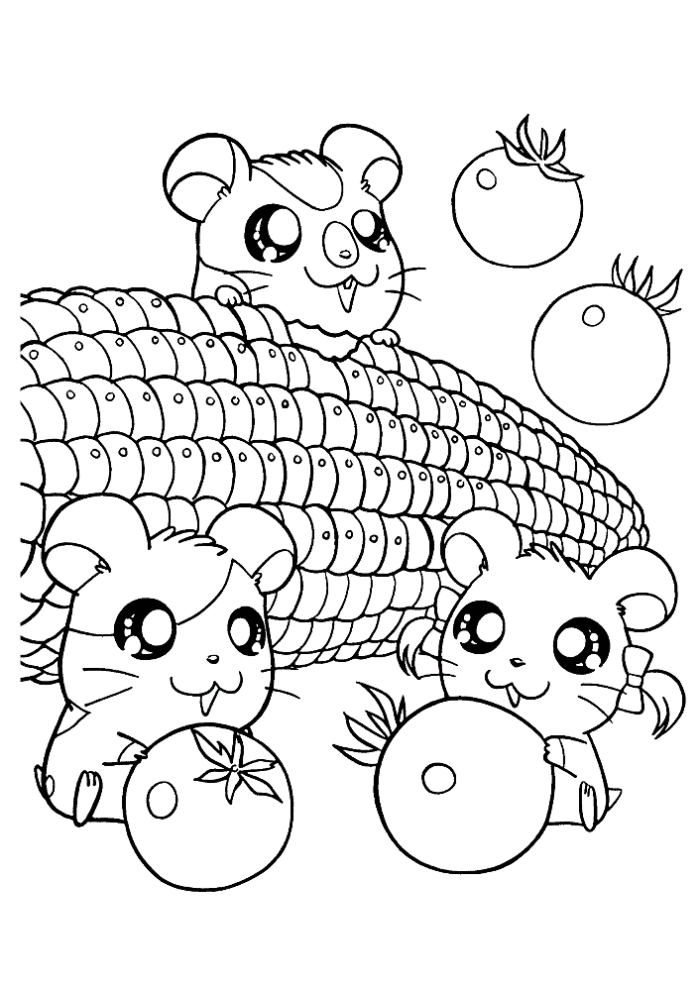 coloriage hamster hamtaro