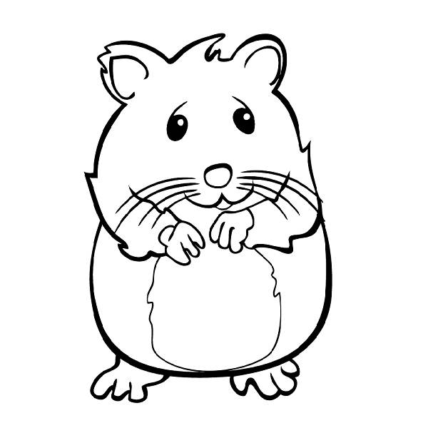 coloriage de hamster a imprimer gratuit