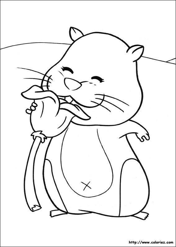 dessin mandala hamster