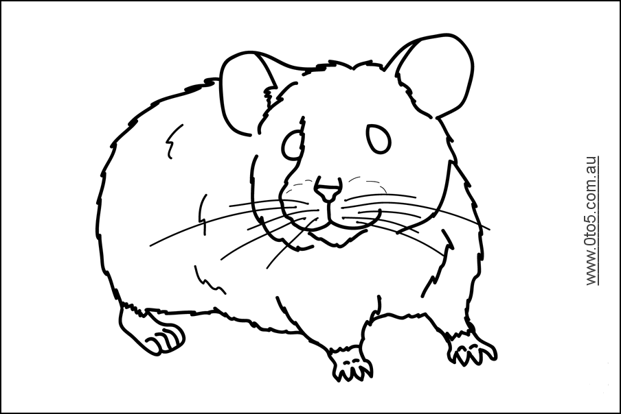 dessin hamster a imprimer colorier