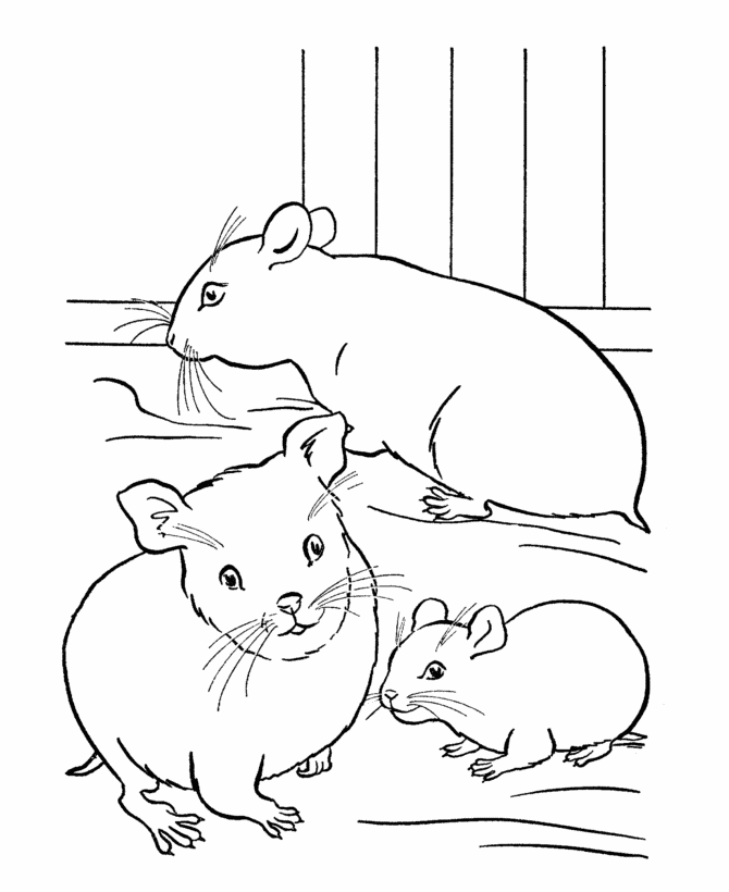 comment coloriageer hamster mignon