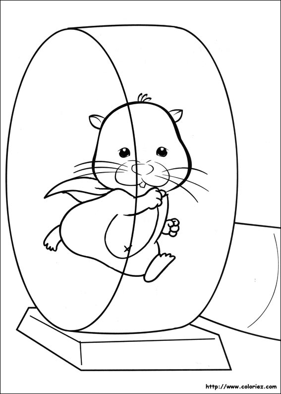coloriage hamster russe a imprimer