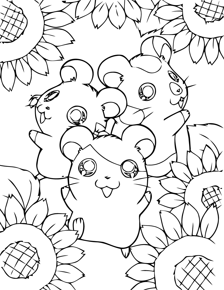 coloriage de hamster mignon dessin sur les hamster coloriage
