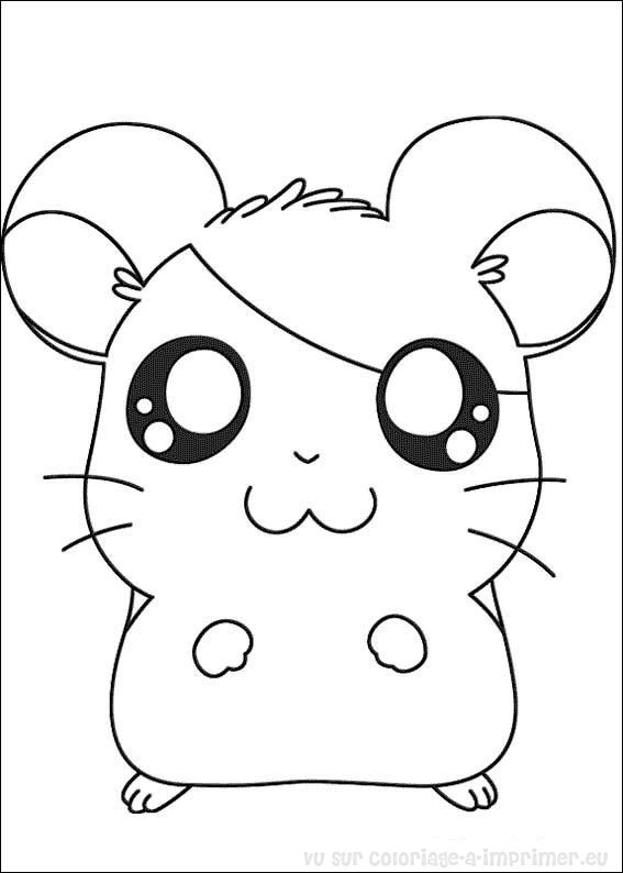 apprendre a coloriageer hamster