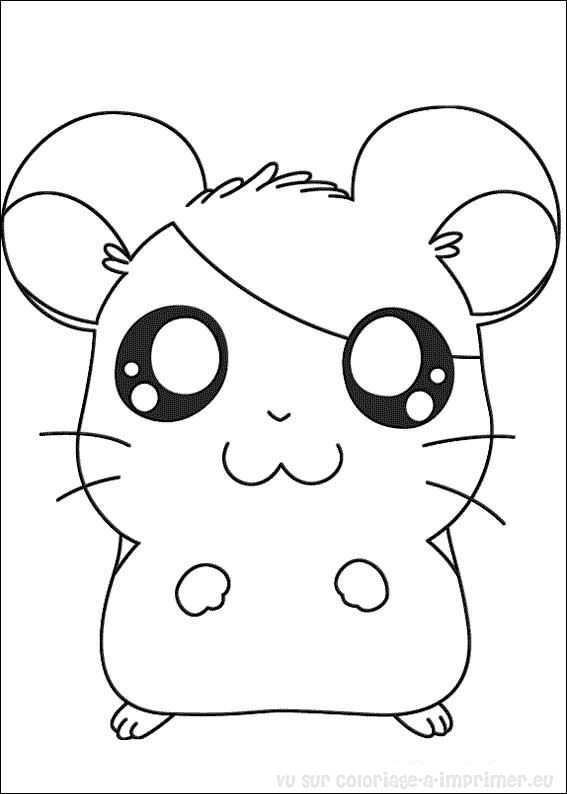 apprendre a coloriageer hamster