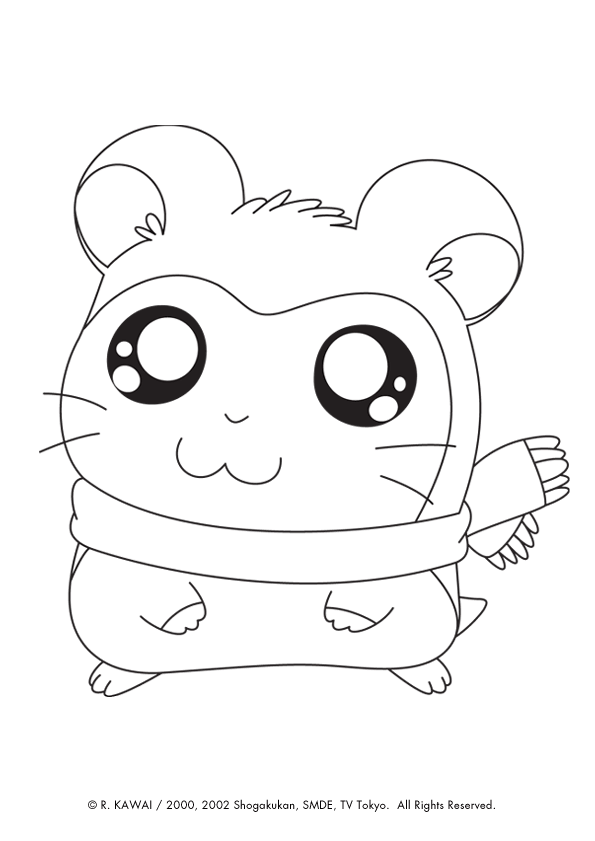 hamster en dessin